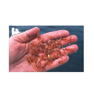 The Fine Quality 100% Nature Antarctic Krill Oil Powder